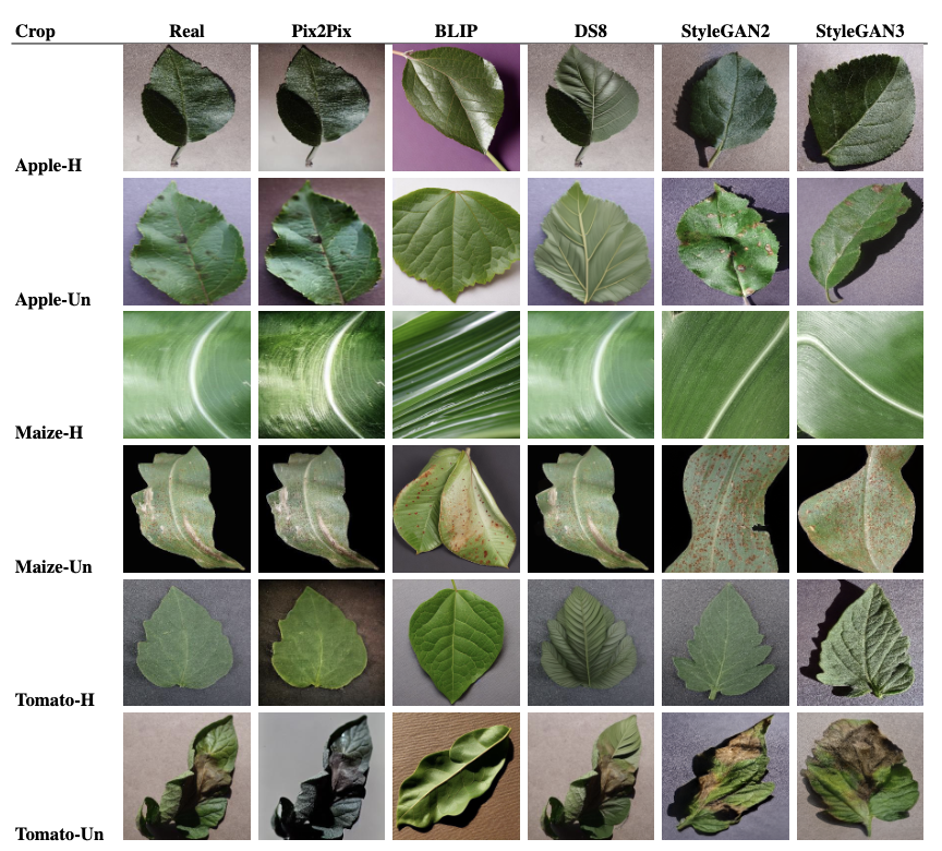 Real vs synthetic (Pix2Pix, BLIP, DS8, StyleGAN2, StyleGAN3) examples across crops and health.